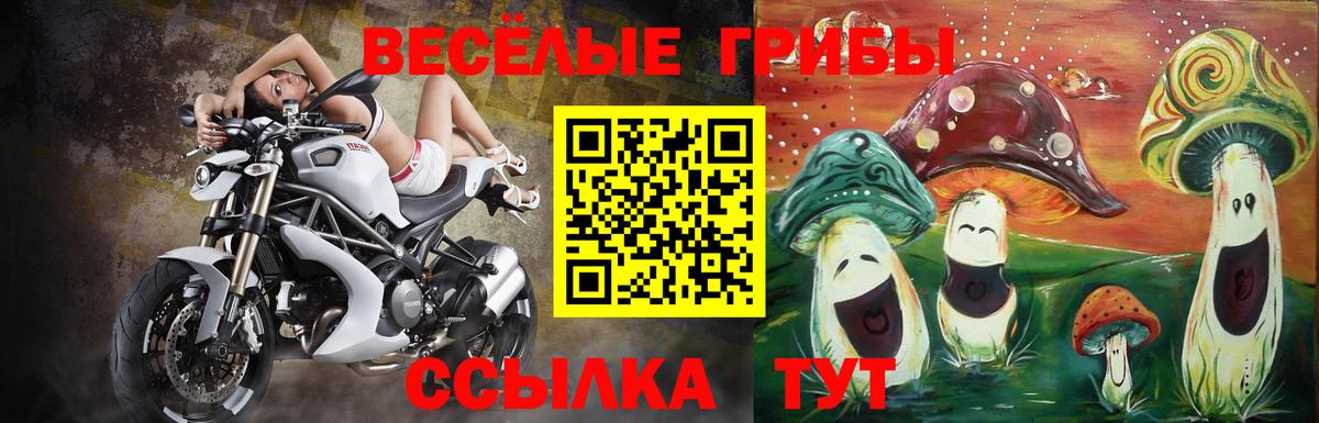 Вышний Волочёк  Псилоцибиновые грибы мухоморы  Вход с VPN 