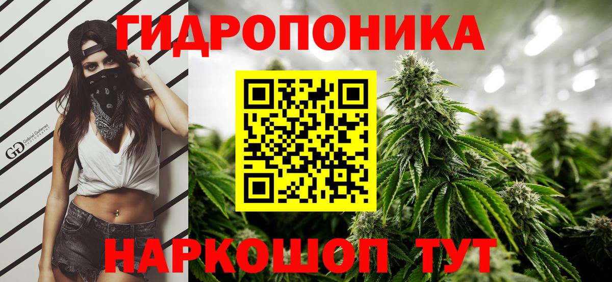 Шишки марихуана MAZAR  Вход с VPN  Бошки марихуана планчик  Вышний Волочёк 